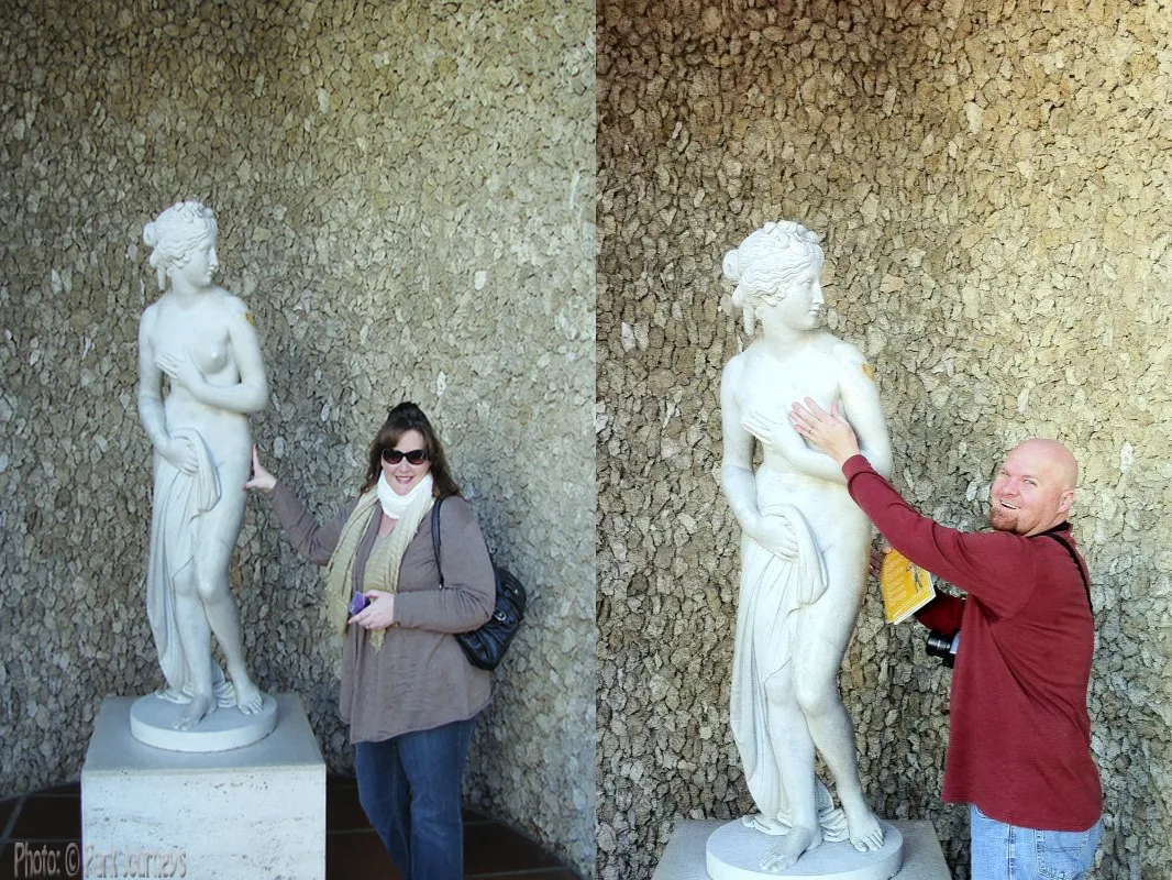 Picture