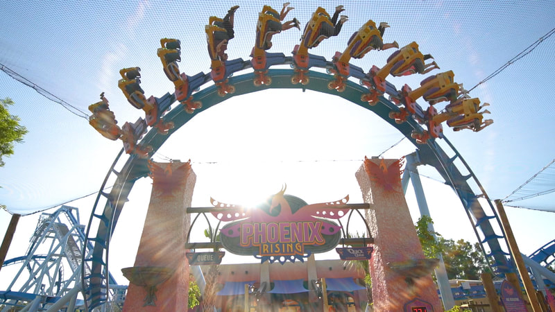 Busch Gardens Tampa Announces The Grand Opening of Phoenix Rising