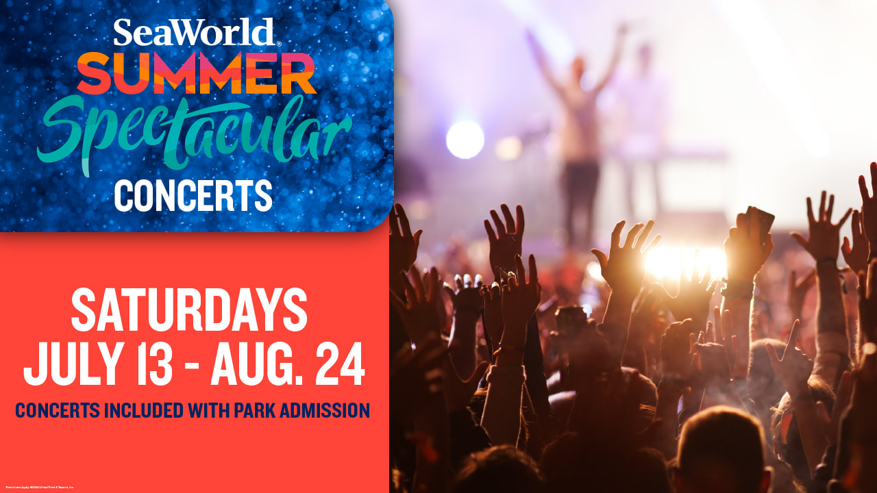 SeaWorld San Diego Reveals Summer Spectacular Concert Line-Up