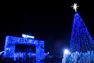 Holiday Event Reviews and Information 