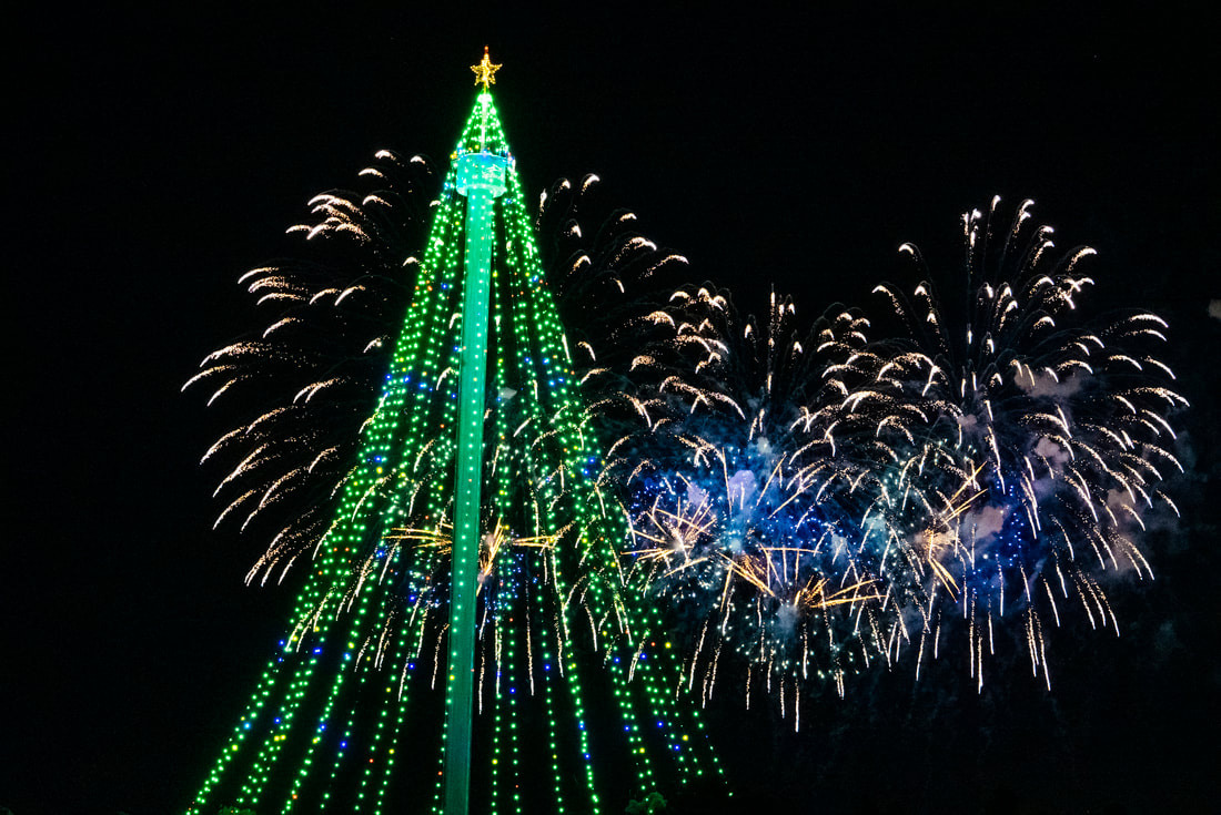 Ring in the New Year at SeaWorld San Diego with a Spectacular Fireworks Show and Exclusive New Year’s Eve Party