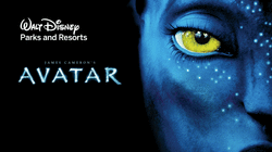 Disney's Animal Kingdom Update (Avatar and Lion King)