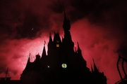IAAPA Updates - Kick-Off event at the Magic Kingdom
