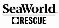 Sea World Rescue helping out with Santa Barbara Oil Spill