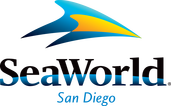 Sea Otters enjoy Halloween Treats at Sea World San Diego
