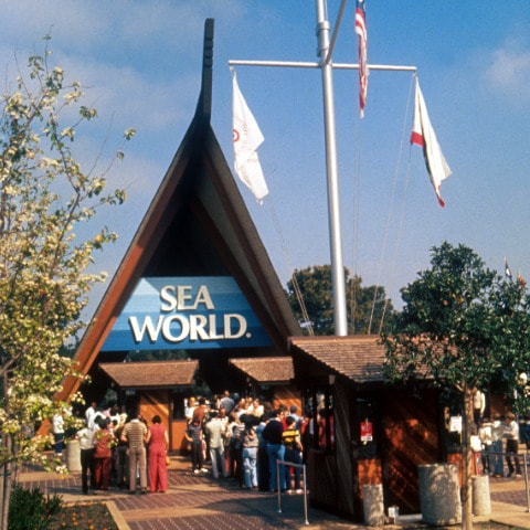 SeaWorld San Diego Unveils 60th Anniversary Celebration Plans for 2024