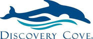 A look at Discovery Cove at Sea World Orlando