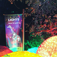 LA Zoo Lights 2015