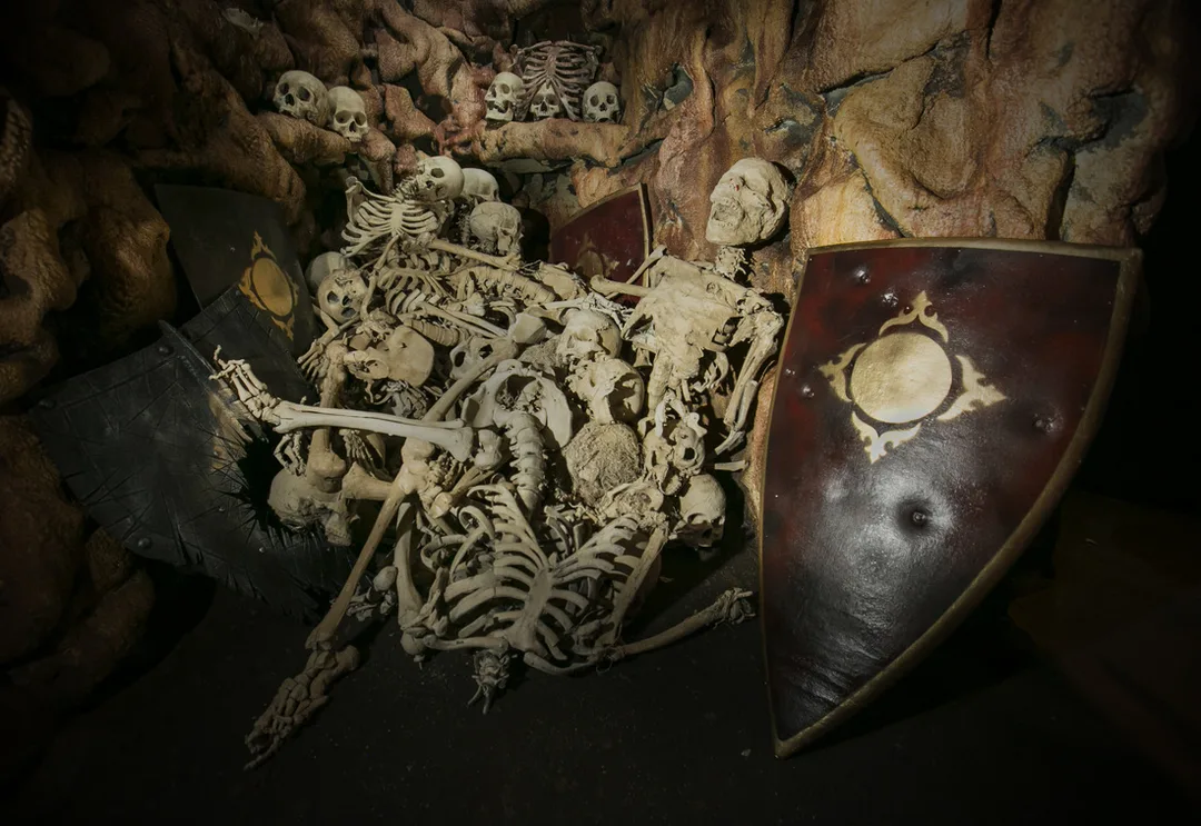Picture