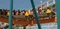carousel chooser