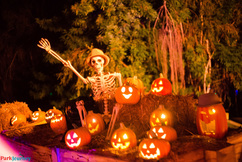 Griffith Park Ghost Train brings the Halloween fun! 