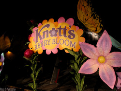 Berry Bloom kicks off the spring at Knott's Berry Farm