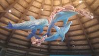 Discovery Point VIP party at SeaWorld San Antonio