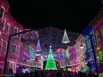 Osborne Lights at Disney's Hollywood Studios