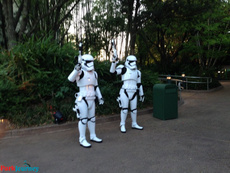 Star Wars Half Marathon: The Dark Side at WDW 