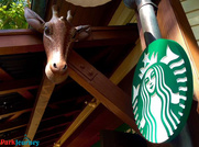 Starbucks and Zuri's Sweet Shop opens at Disney's Animal Kingdom