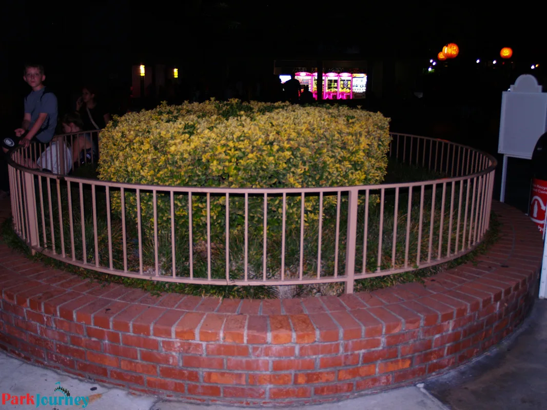 Picture