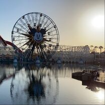 Touch of Disney at Disney California Adventure