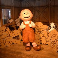 Knott's Peanuts Celebration Another Must-See Event at Knott's Berry Farm