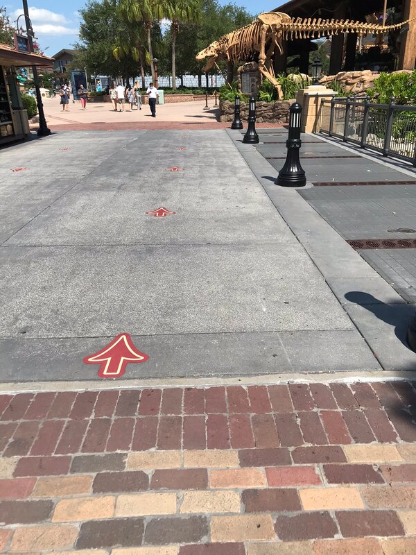Quick Trip to Disney Springs After It's Reopening