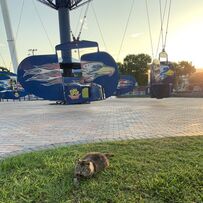 Trip Report: Fun Spot Orlando - May 16, 2019