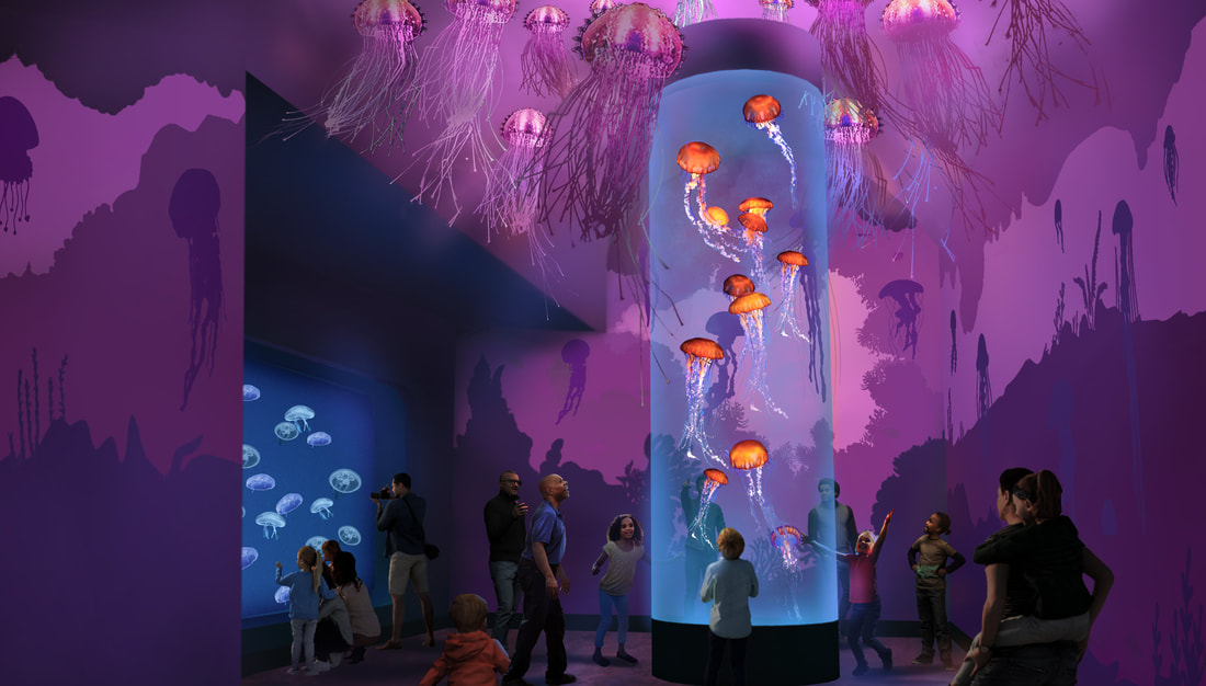 SeaWorld San Diego Announces March 15 as Opening Date for All-New Jewels of the Sea: The Jellyfish Experience