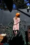 carousel chooser