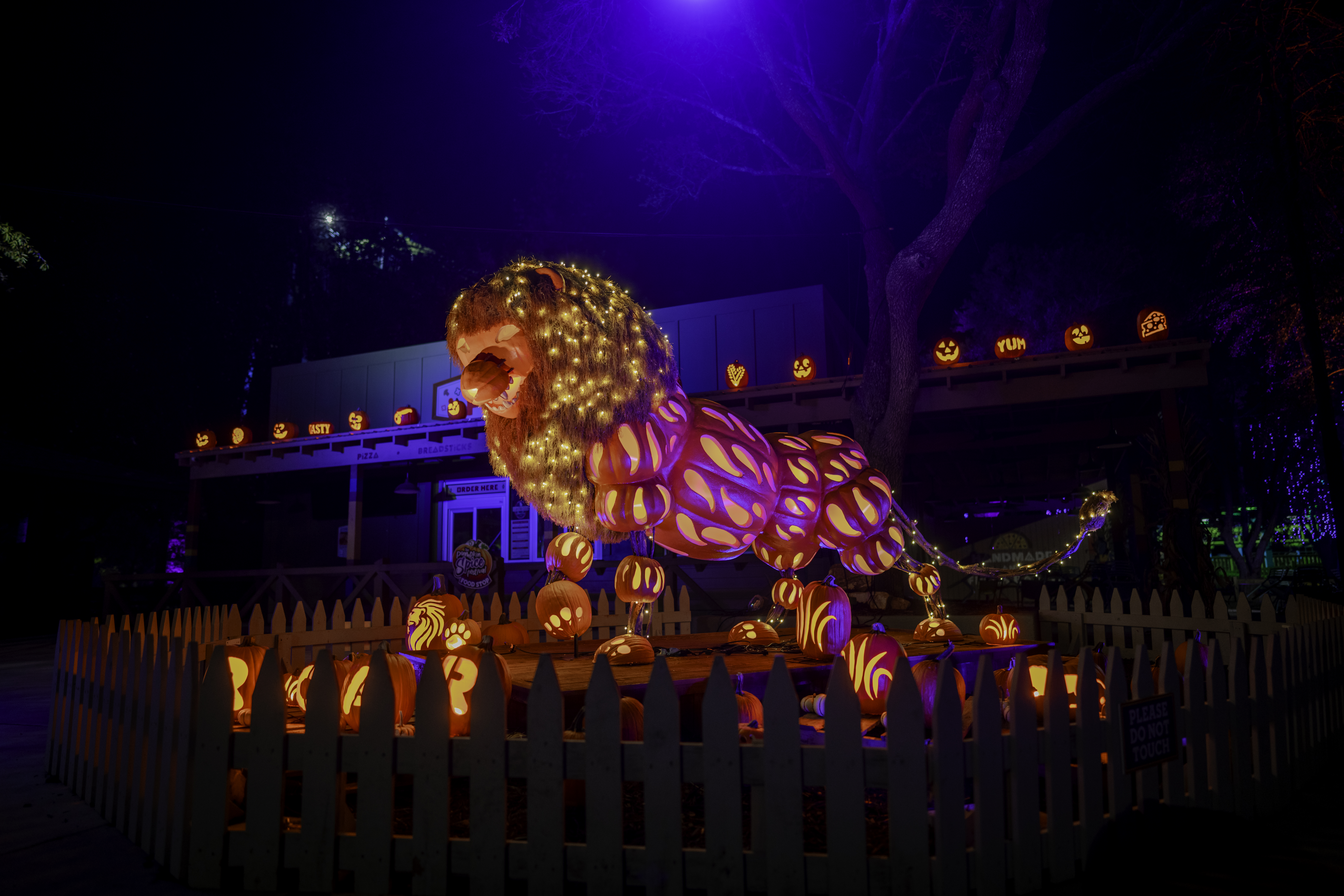 Wild Adventures Great Pumpkin LumiNights: More Lights. More Pumpkins & More Fun.
