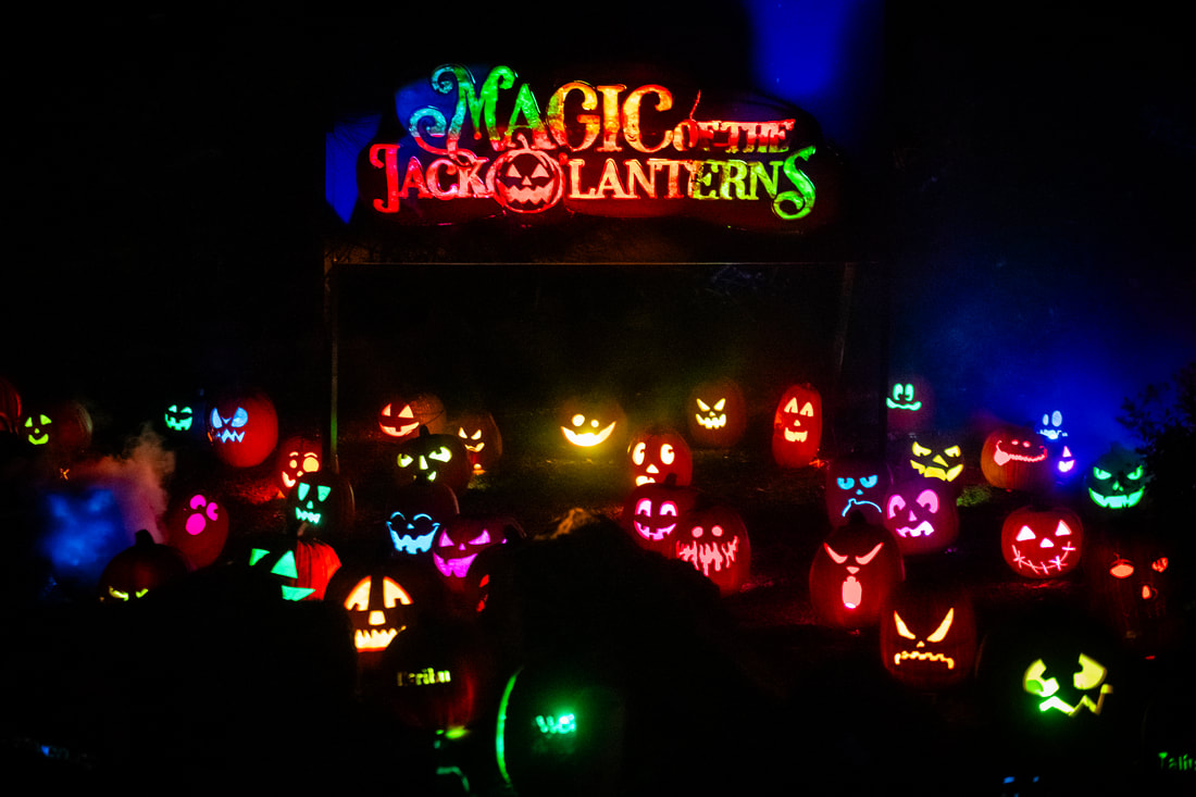 Magic of the Jack O’Lanterns Illuminates South Coast Botanic Garden With More Than 10,000 Carved Pumpkins