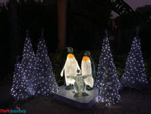 Christmas Town 2019 at Busch Gardens Tampa