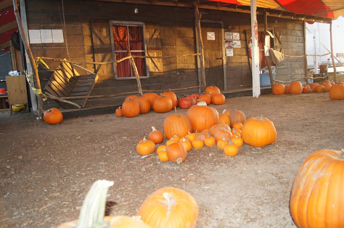 Review: The Fleshyard Haunted House in Anaheim