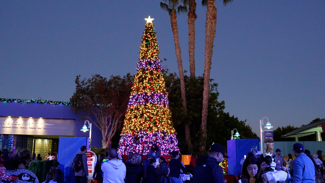 SeaWorld San Diego Welcomes the Holiday Season with ALL-NEW Entertainment and Fan Favorite Festive Offerings