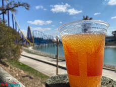 Texas Trip Report Part 2: SeaWorld Texas