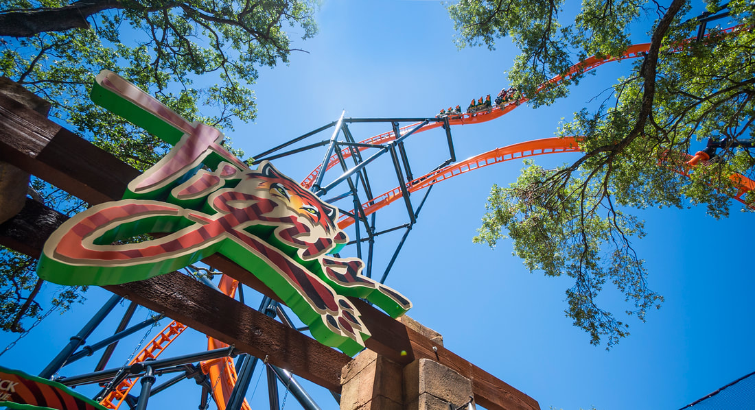 Busch Gardens Tampa Bay Announces Annual Pass Launch with Unbeatable Benefits and Vibrant Event Lineup