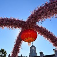 Lunar New Year and Park Update at Universal Studios Hollywood