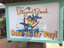 Trip Report: An Ice Day at Disney's Blizzard Beach
