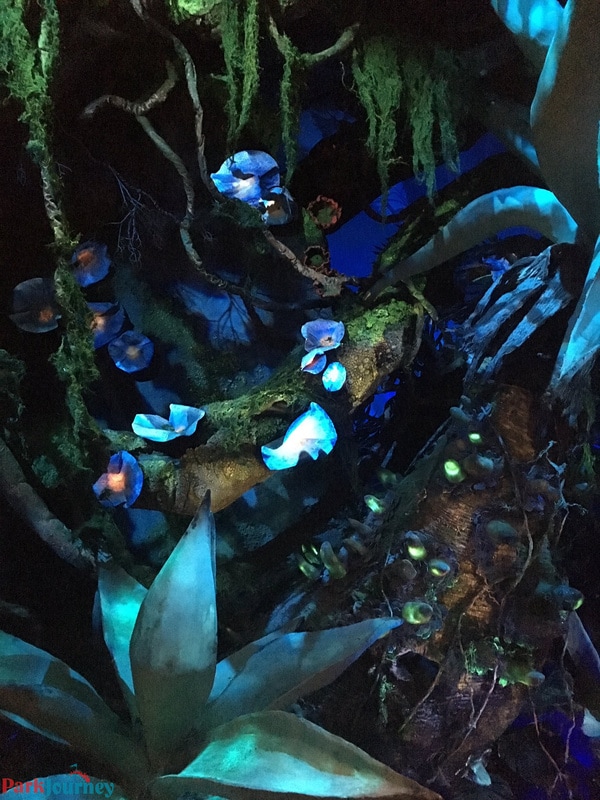 Picture